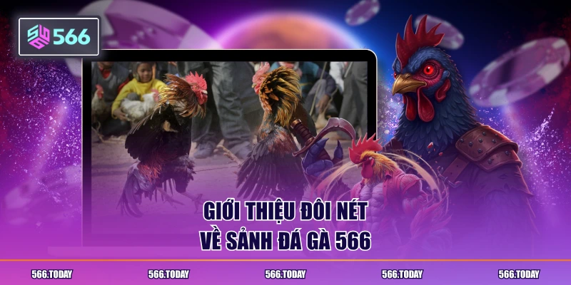 Giới thiệu đôi nét về sảnh đá gà 566